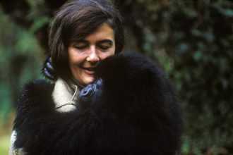 Where Did Dian Fossey Go To College